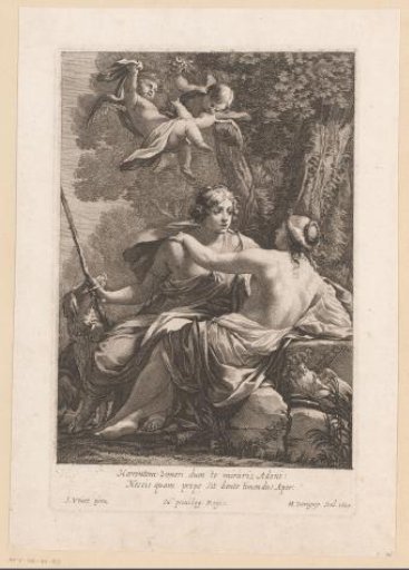 Venus and Adonis