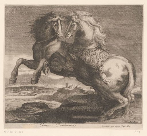 Rearing horses in a landscape