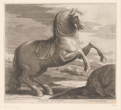 Rearing horse