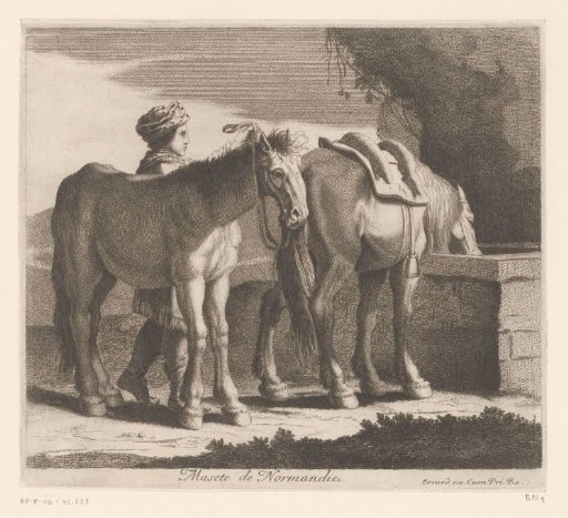 Drinking horses