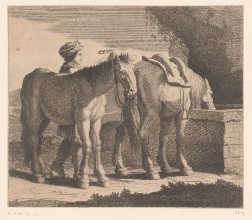 Drinking horses