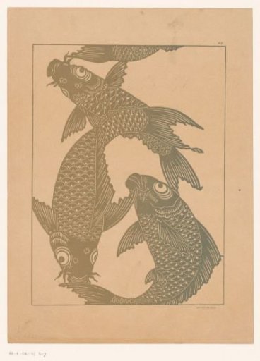 Carp