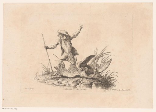 Monkey chasing away a bird of prey