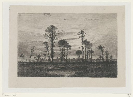 Landscape with tall trees and a pond