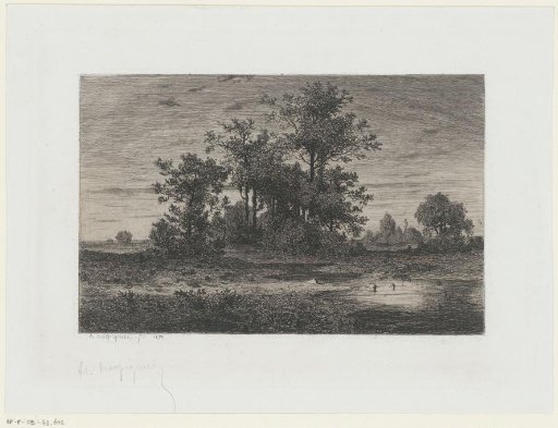 Landscape with a pool before a group of trees