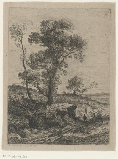 Landscape with trees on a rock beside a path