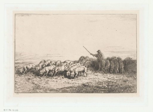 Swineherd with a herd