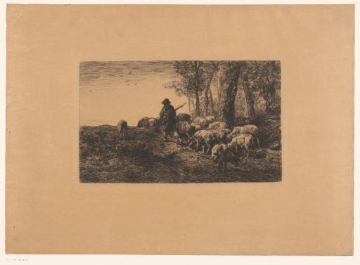 Shepherd with a group of pigs