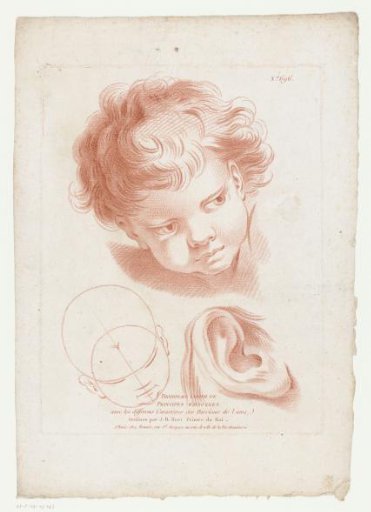 Head and ear of a child