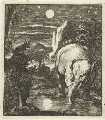 Hare and elephant with full moon at a water source