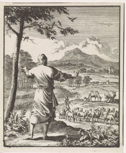 Man in Admiration of an Extensive Landscape