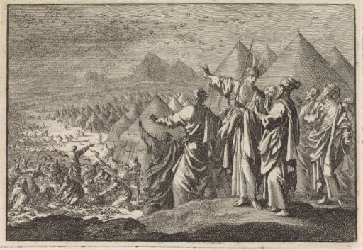 Quails in the desert
