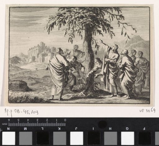 Christ and the Sign of the Fig Tree