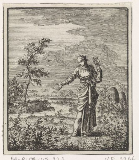 Woman picks flowers in the field