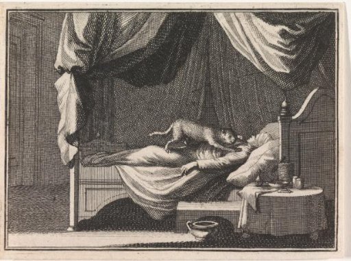 Sleeping Heretic Attacked by a Cat