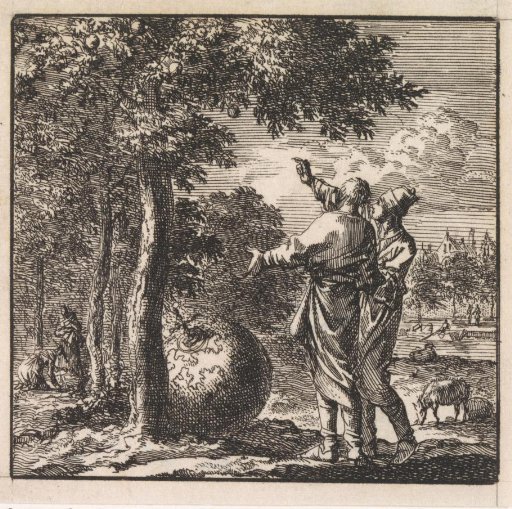 Two men compare the amount of fruit and leaves of a tree