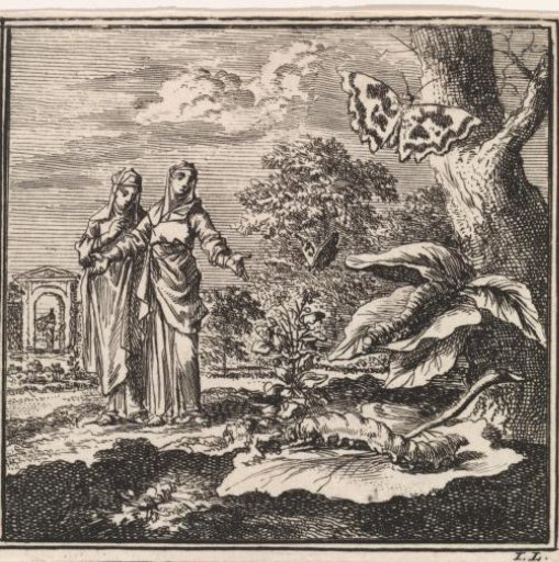 Two women looking at caterpillars and butterflies