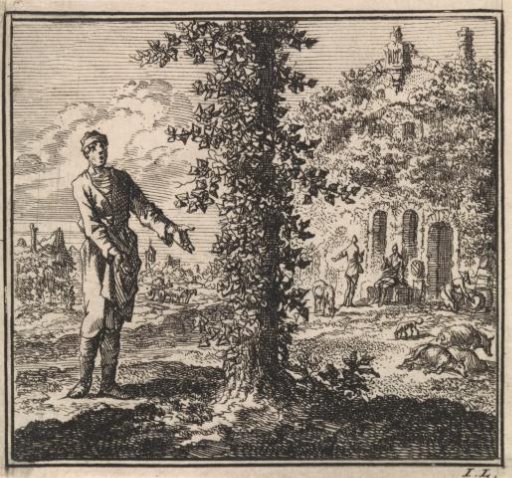 Man viewing a tree covered in ivy