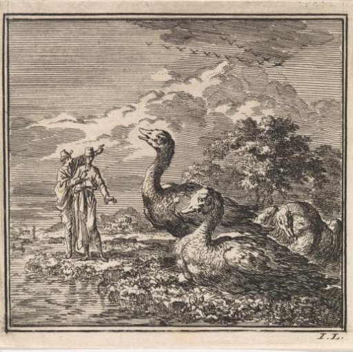 Two men looking at wild geese