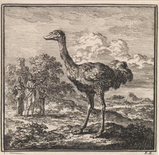 Several figures looking at an ostrich