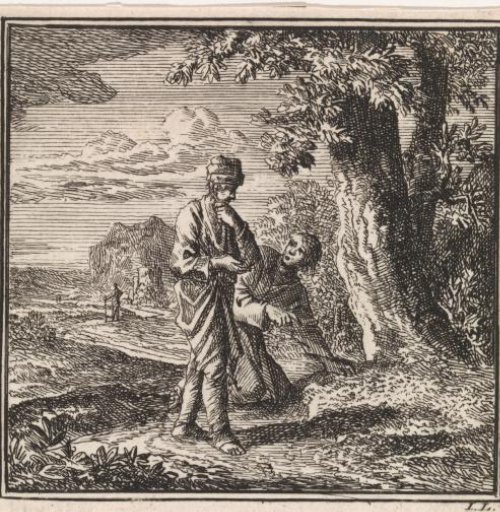Two men examining an anthill