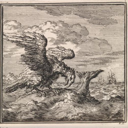 Eagle with its claws in the back of a large fish