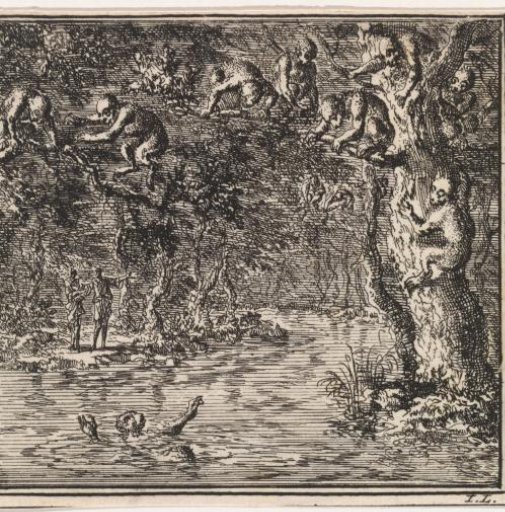 Monkeys watching from a tree as their fellow creature threatens to drown