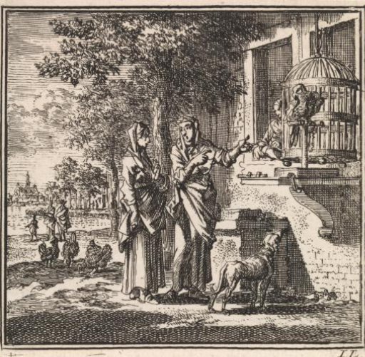 Two women listening to a talking parrot