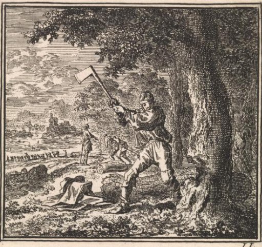 Woodcutter busy felling a tree