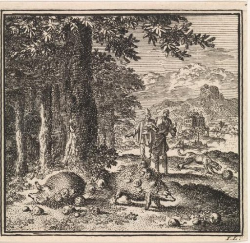 Three hedgehogs at the edge of a forest