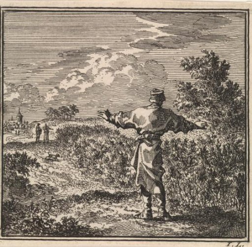 Man looking out over a rape field