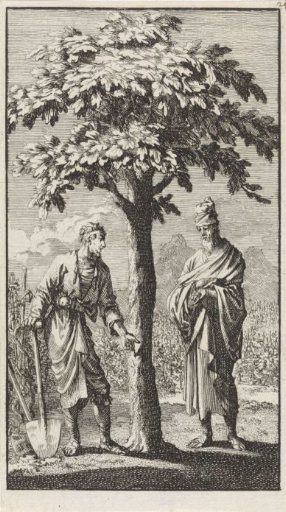 The Parable of the Barren Fig Tree