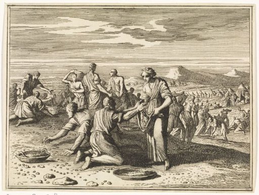Gathering of the Manna in the Wilderness
