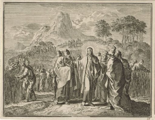 Plucking of Grain on the Sabbath