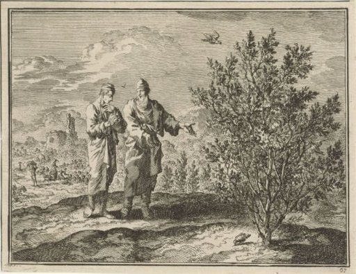 Two men viewing a bush grown from mustard seed