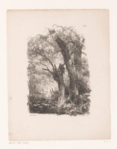 Forest View