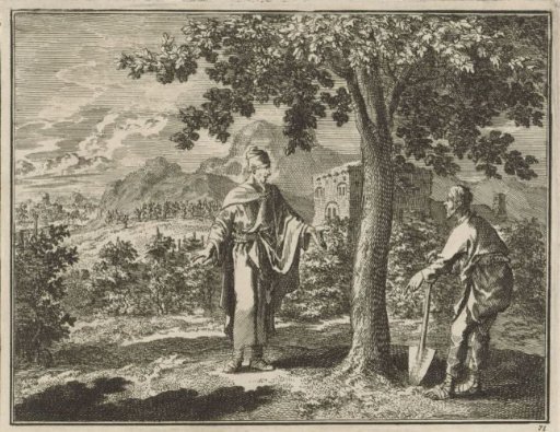 Parable of the Barren Fig Tree