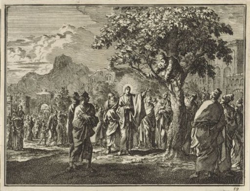 Zacchaeus in the Sycamore Tree