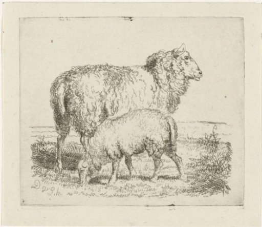 Sheep with Lamb