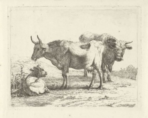 Two cows and a calf