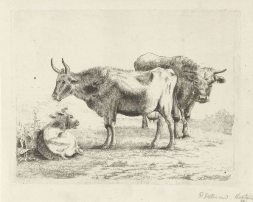 Two cows and a calf