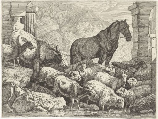 Flock of animals at a watering place