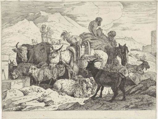 Flock of animals at a spring