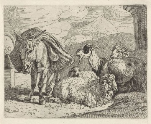 Donkey, sheep and a goat
