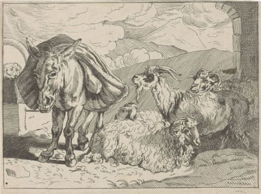 Donkey, sheep and a goat