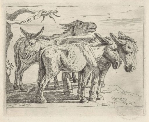 Four donkeys