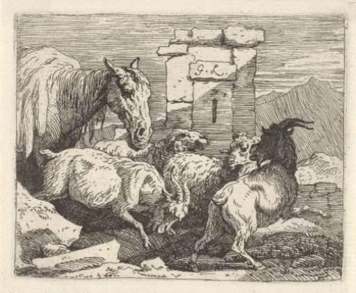 Horse, goats and sheep