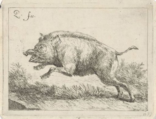 Leaping pig