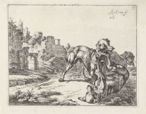 Fighting Dogs
