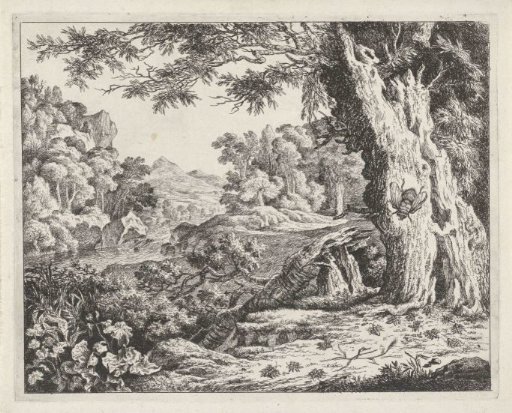 Landscape with Ants and Bees